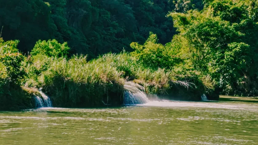 Top 10 Bohol Multi-Day Tour Packages: 2D1N, 3D2N & Cebu-Bohol Combos 7 loboc river busay water falls at the end dsc1703 w400
