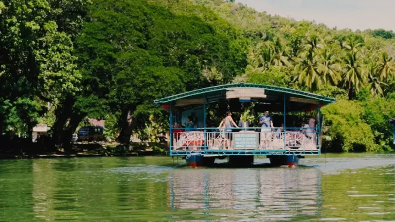 Best Bohol River Cruise & Eco Tours