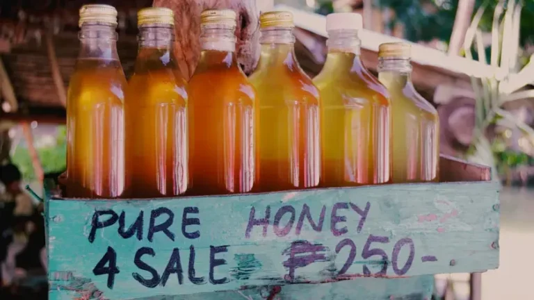 Philippine Peso Guide for Travelers