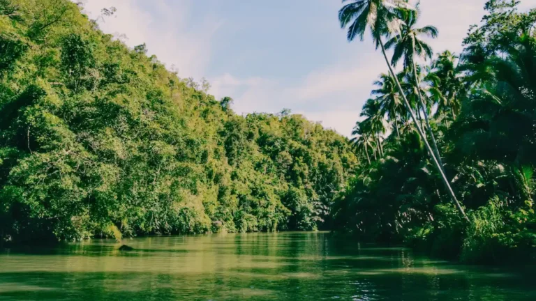 loboc-river-green-waters-forest