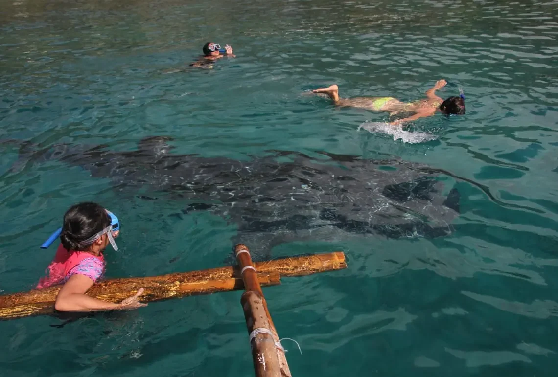 water activities snorkeling